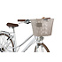 Basil Bilbao FM - fietsmand - voorop - nude metallic