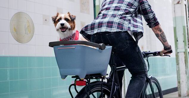 Basil Fietsmanden